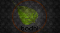 Metal Linux Bodhi Linux