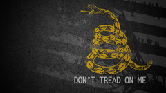 Metallica snakes Black Album