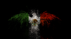 Mexico flag high done Resolution