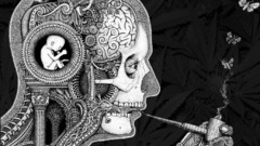 Mexico New high Resolution alexgreyman