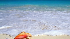 Mexico Yucatan Treasure com peninsula uggest beachside