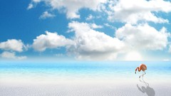 Miami Beaches minimalistic