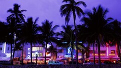 Miami neon summer Hotel beach palm trees evening cityscape USA