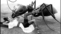 Michelle Monaghan grayscale