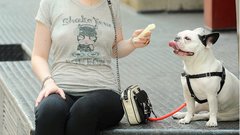 Michelle trachtenberg