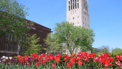 Michigan school university law umich