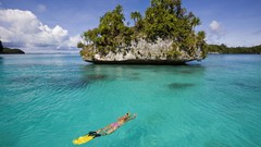 Micronesia snorkeling