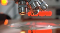 Microscope Industrial Plants flower