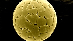 Microscopic