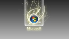 Microsoft microsoft windows