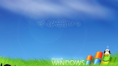 Microsoft windows