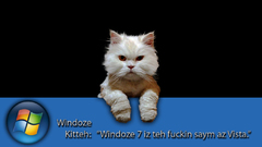 Microsoft windows Kittens