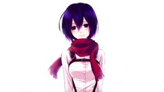 Mikasa ackerman shingeki no kyojin