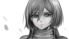 mikasa ackerman shingeki no kyojin Anime anime girls face