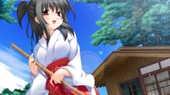 Miko Anime Japanese clothes