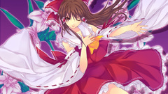 Miko hakurei reimu detached