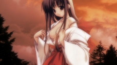 Miko Japanese clothes