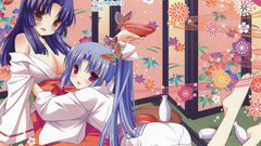 Miko Japanese clothes