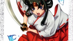 Miko Queens blade Anime