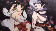 Miko Queens blade tomoe