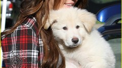 Miley cyrus Dogs Celebrity