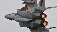 Military F15 Eagle