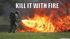 Military fire weapons flamethrower