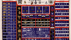 Military infographics