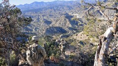 military soldier camouflage depth of field