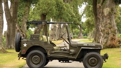 Military weaponry willys