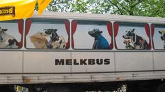 Milk bus high Food