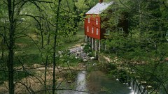 Mill Wolves Tennessee York Alvin