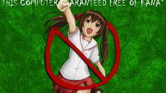 Minami-ke Anime minami kana