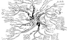 Mind duplicate mathematics infographics