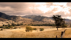 Mine down fields throw ill some meant