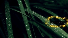 Mine however can someone