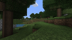 Minecraft forests video Games