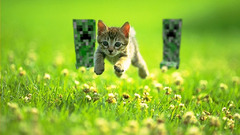 Minecraft running