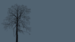 Minimalism artwork Simple Background Trees