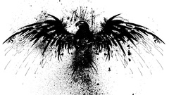 Minimalism Birds eagle artwork monochrome white background