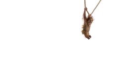 Minimalistic artwork