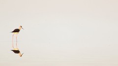 Minimalistic artwork