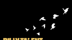 Minimalistic Birds billy talent