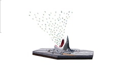 Minimalistic Birds Sharks artwork