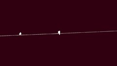 Minimalistic Birds simplistic