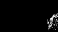 Minimalistic black background