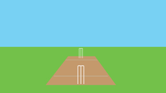 Minimalistic cricket simple