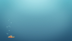 Minimalistic fish underwater