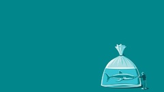 Minimalistic funny Sharks blue