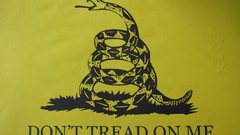 Minimalistic Gadsden flag